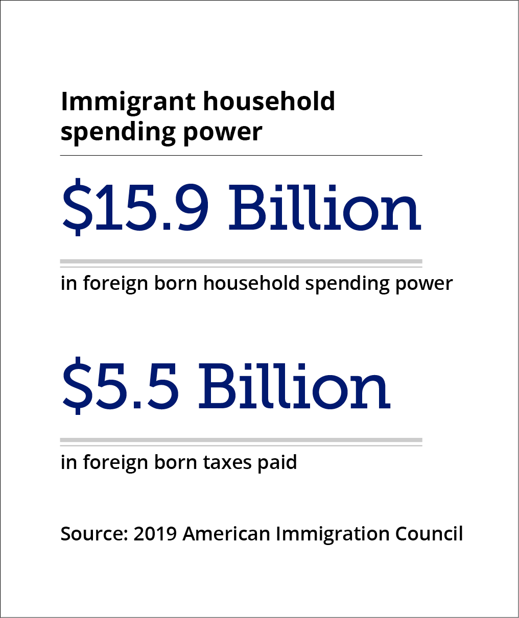 household spending power