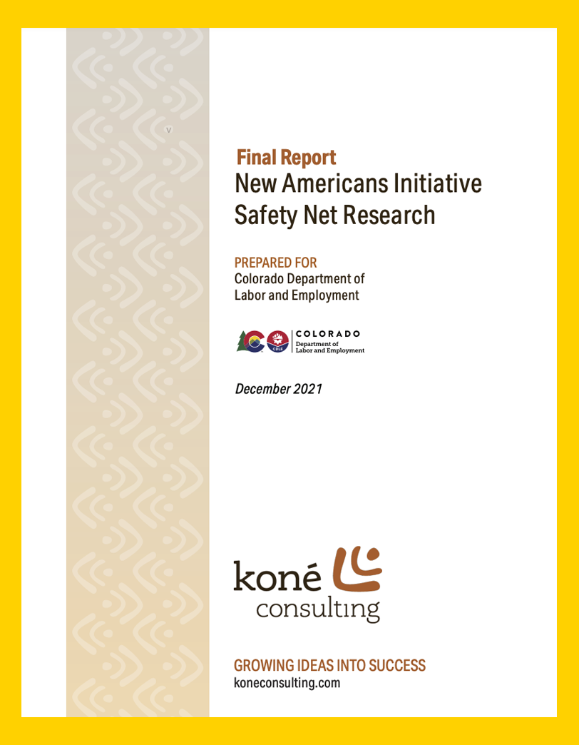 New Americans Safety Net Research cover